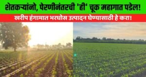 Kharif Season Sarming